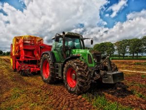 Így dolgozhatnak külhoni idénymunkások a mezőgazdaságban
